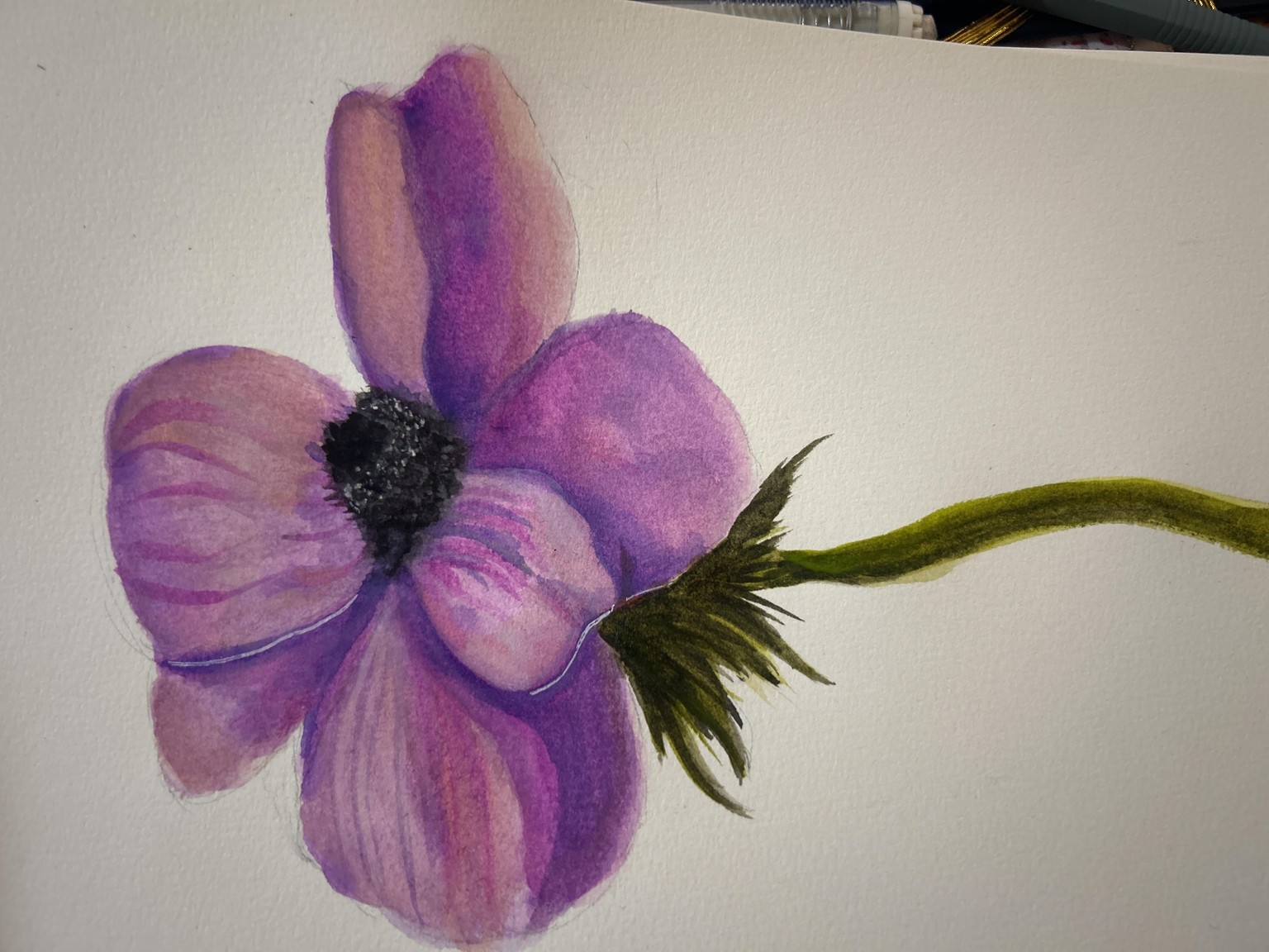 Anemones - image 1 - student project