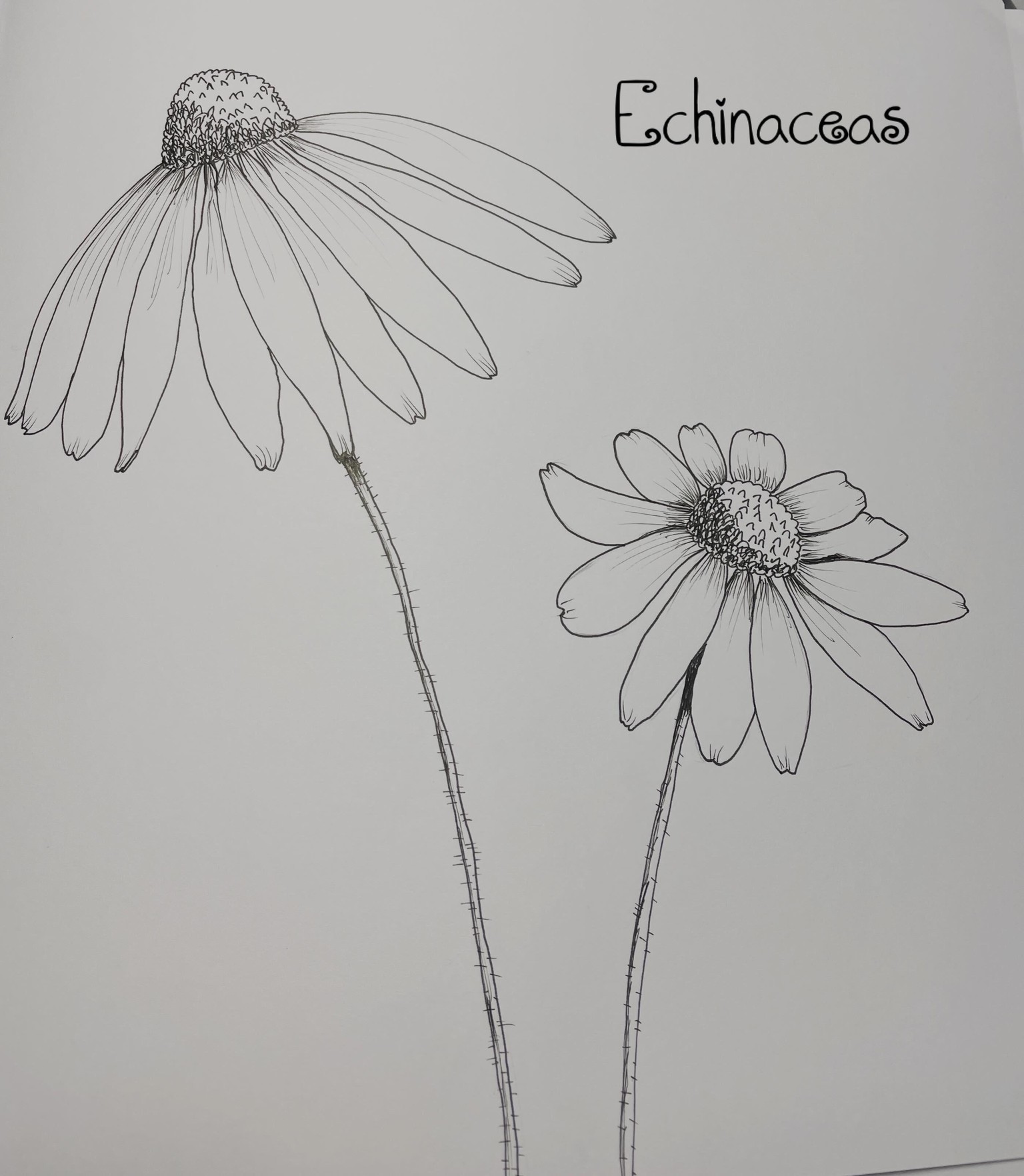 Many happy flowers - image 2 - student project
