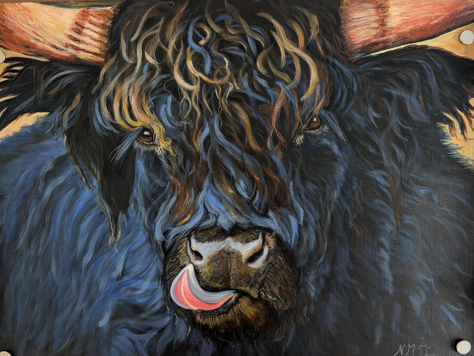 Updated Bull Highland Cow on acrylic - image 1 - student project