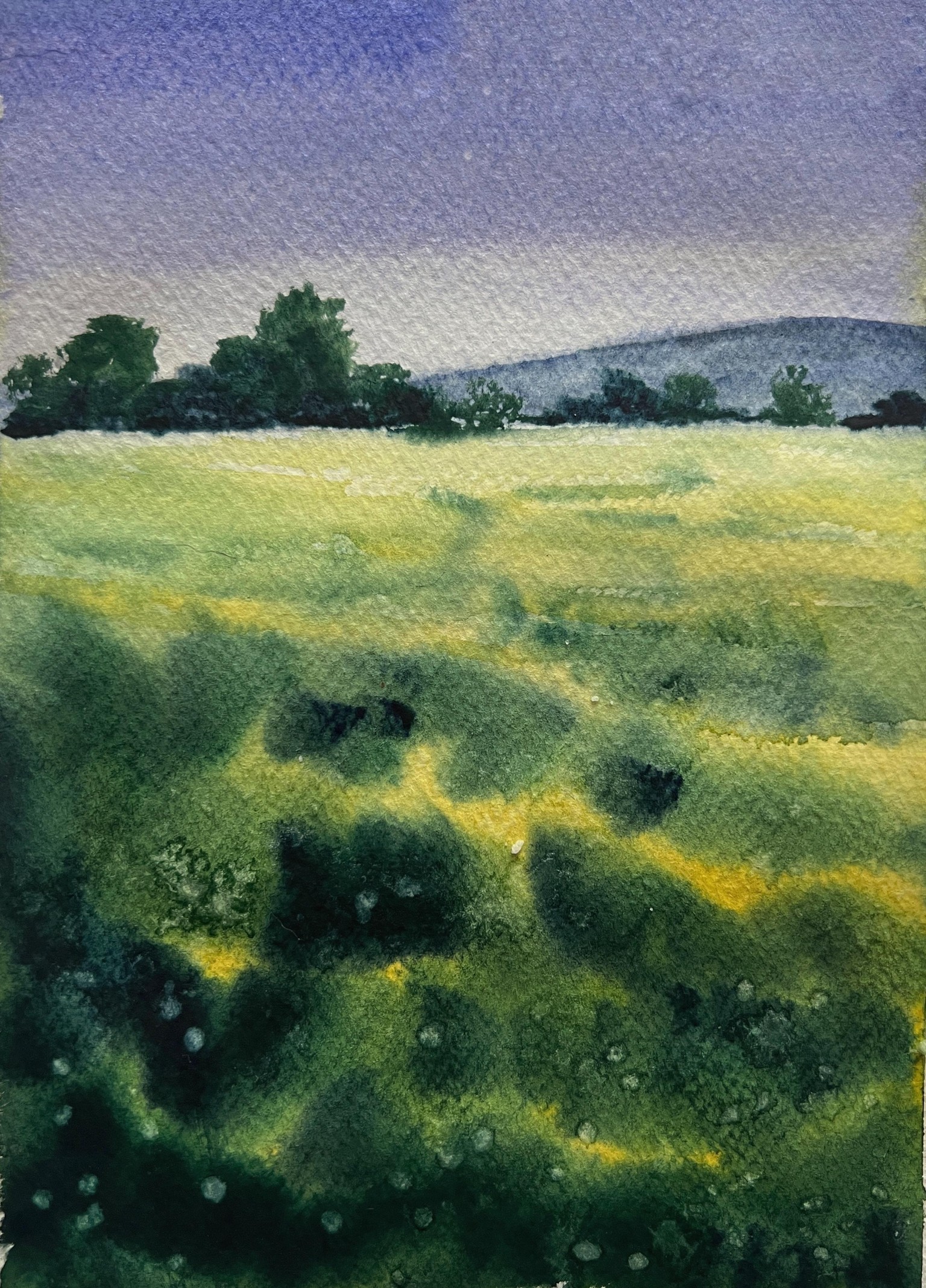 Spring landscapes with watercolor - image 2 - student project