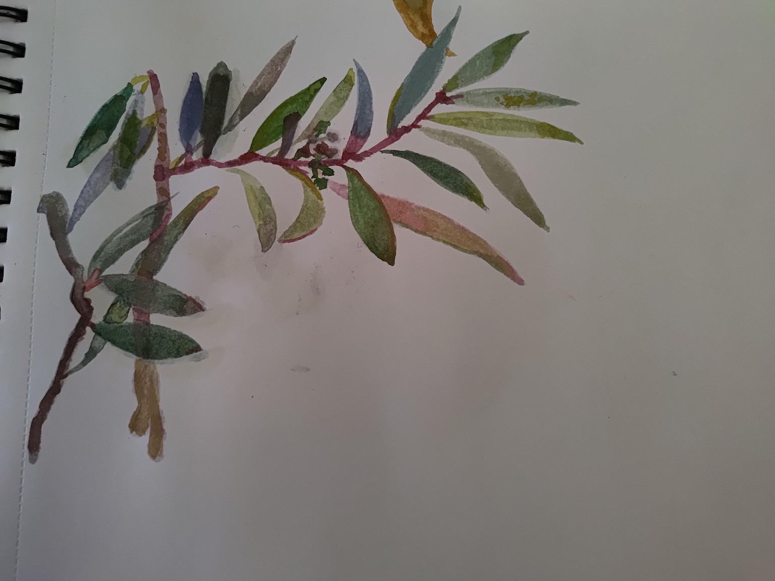First ever watercolor - image 2 - student project