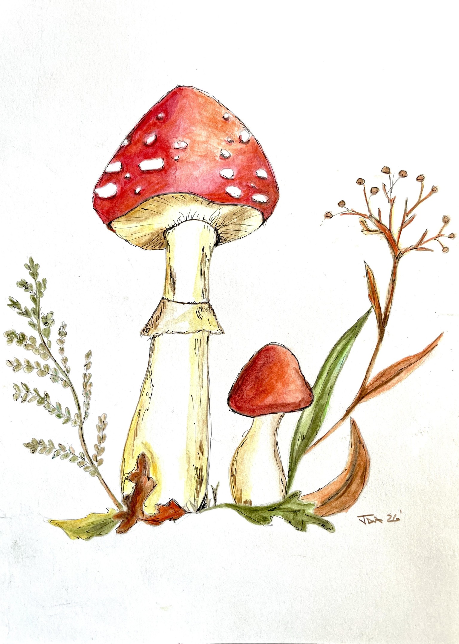 The Whimsy Mushroom - image 1 - student project