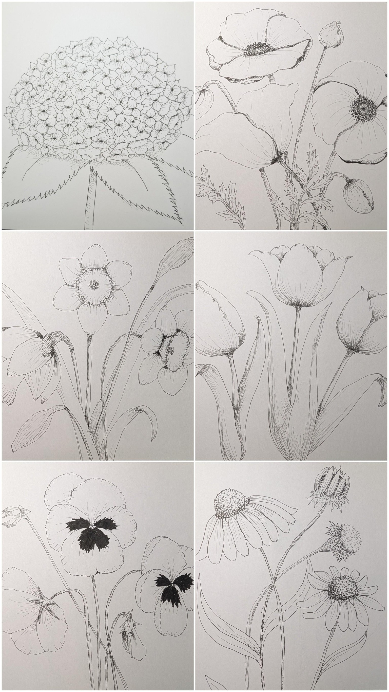 Flowery Adventure - image 2 - student project