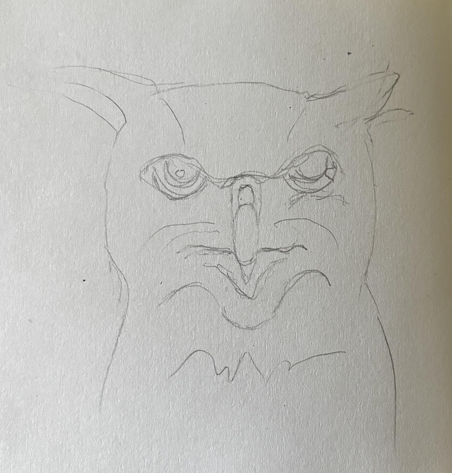 Whoo else loves owls - image 2 - student project