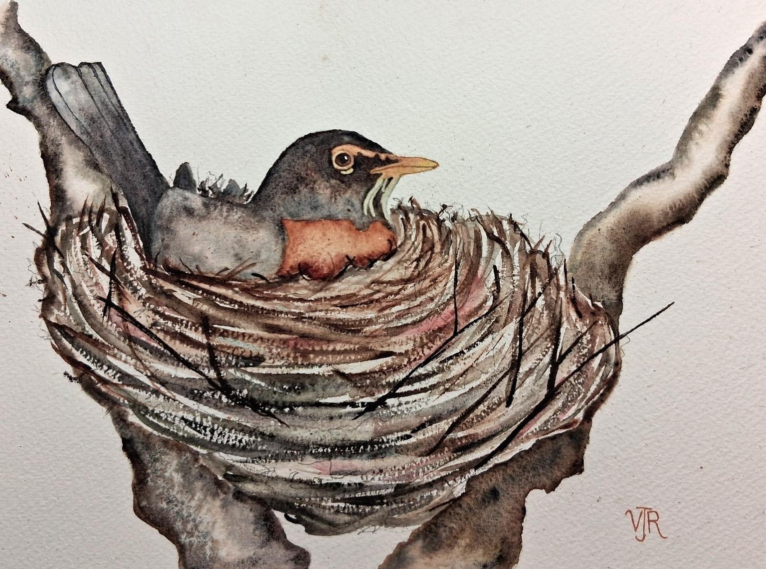 Canadian Robins - image 2 - student project