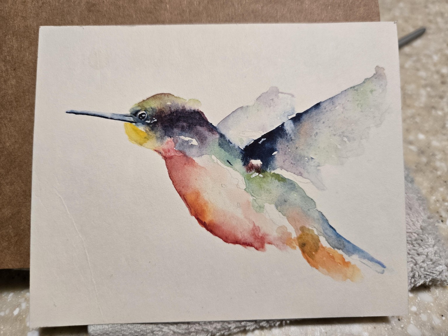 Hummingbird 1st attempt - image 1 - student project