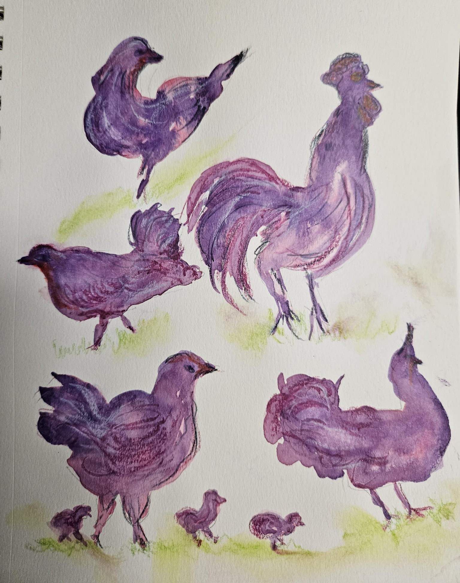 Funky chickens - image 1 - student project