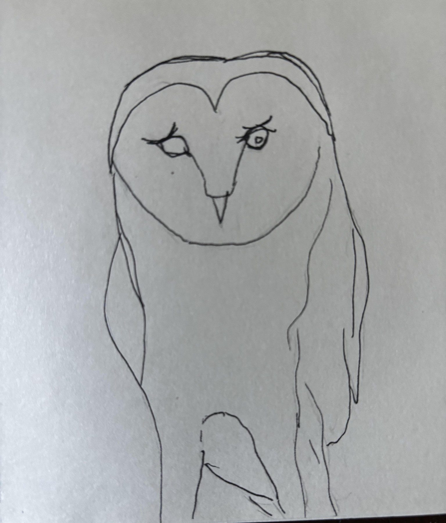 Whoo else loves owls - image 4 - student project
