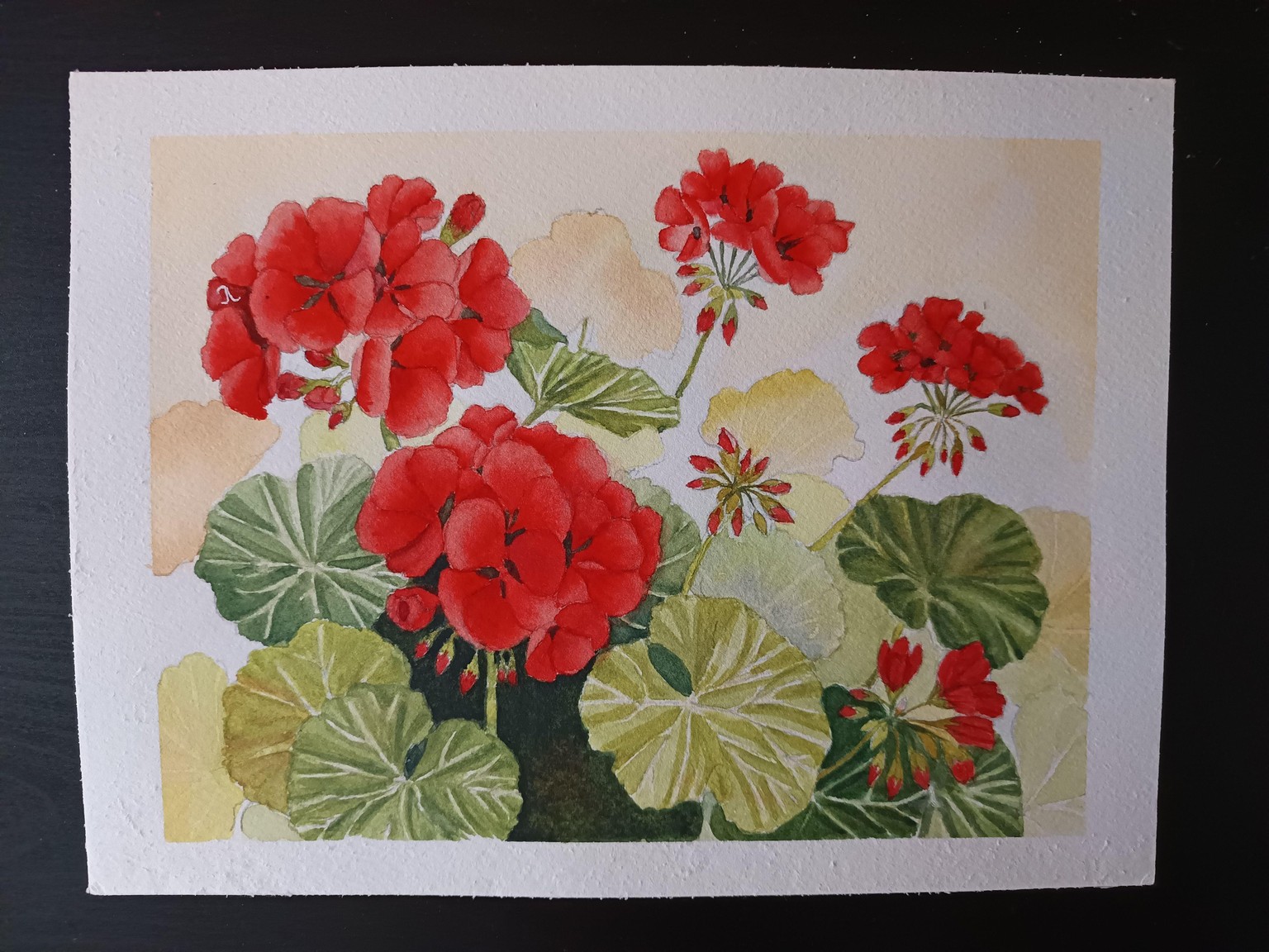 Amazing Geranium - image 1 - student project