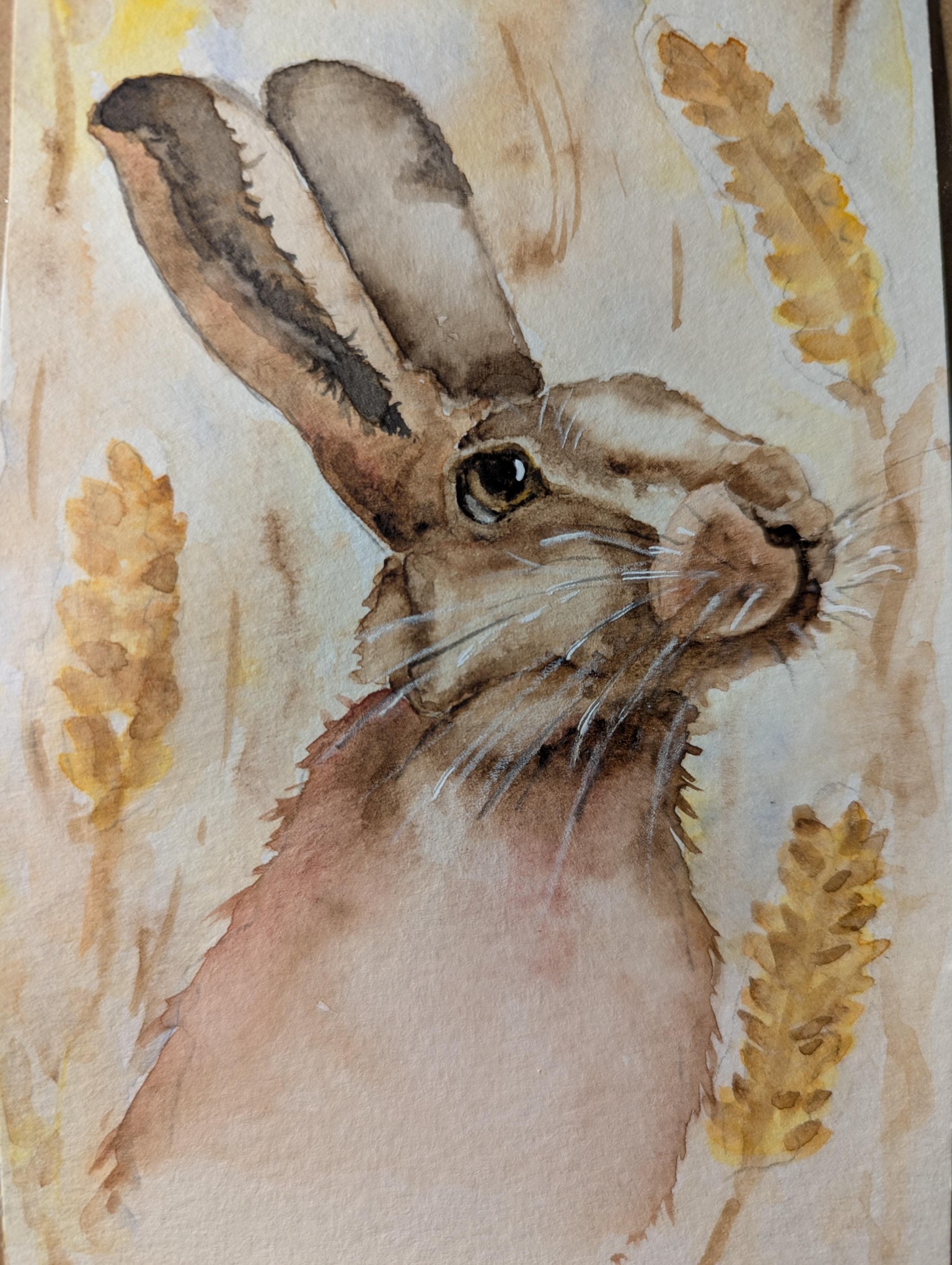Two tries at the HARES - image 2 - student project