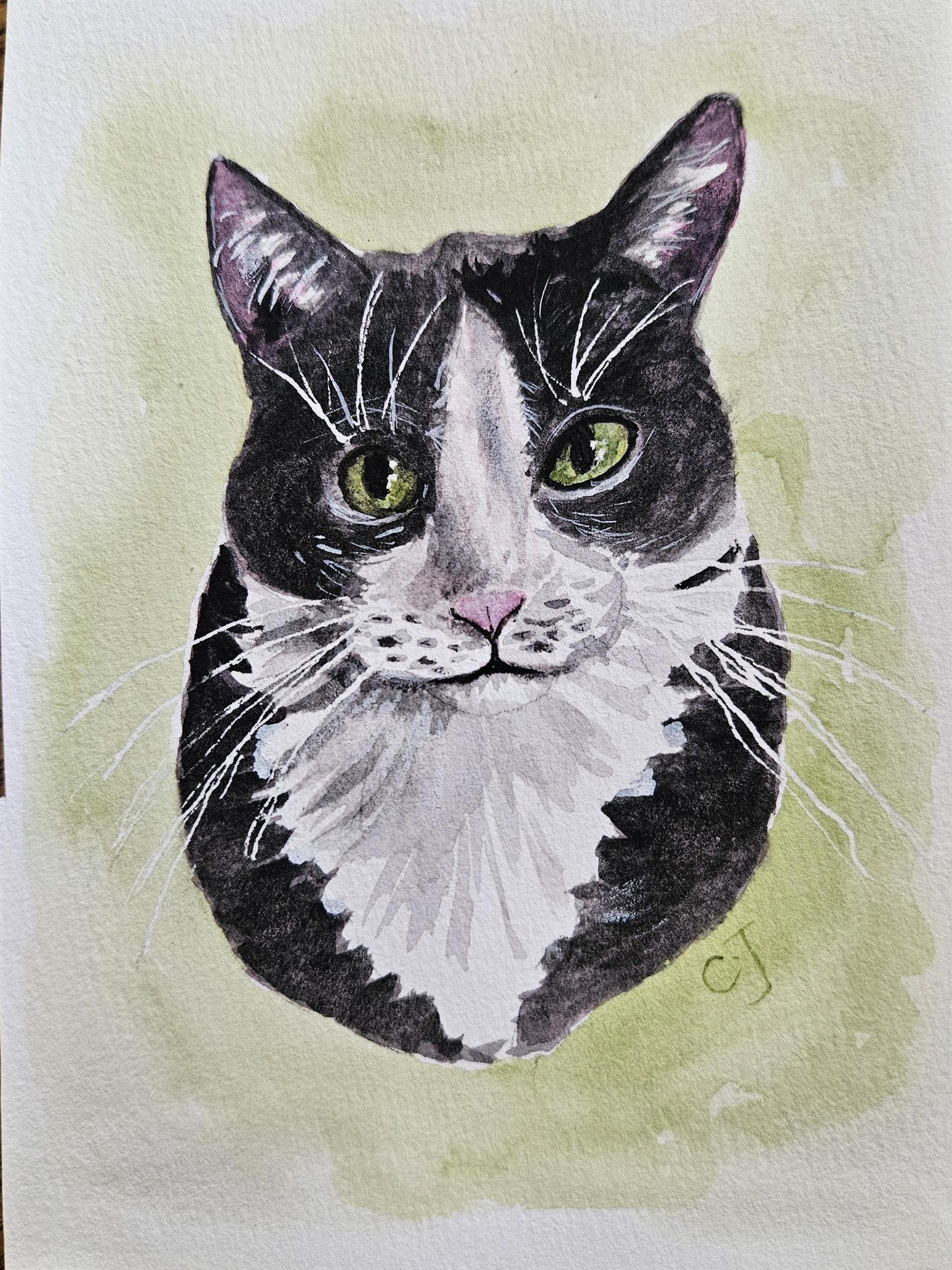 My first tuxedo cat - image 1 - student project