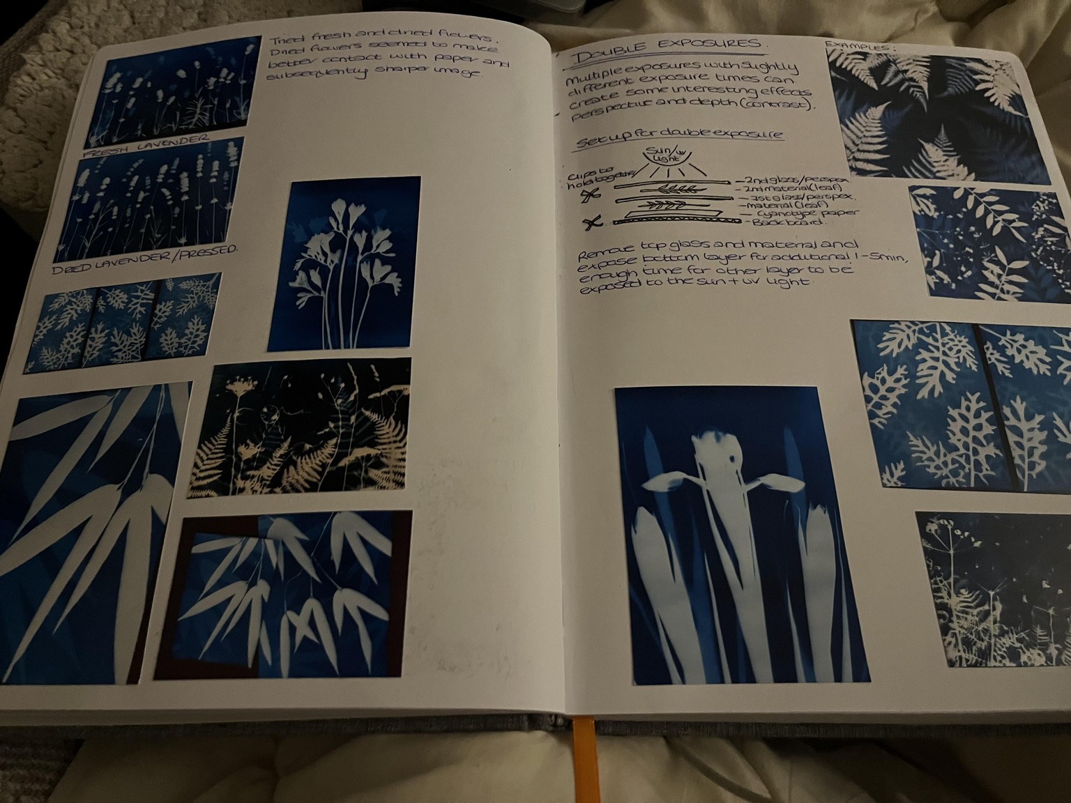 Cyanotype Research and play - image 2 - student project
