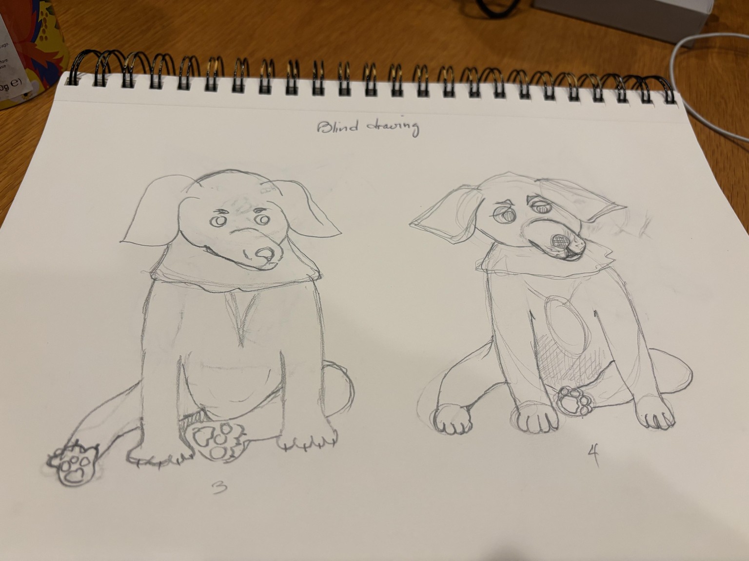 Animal characters progression - image 1 - student project