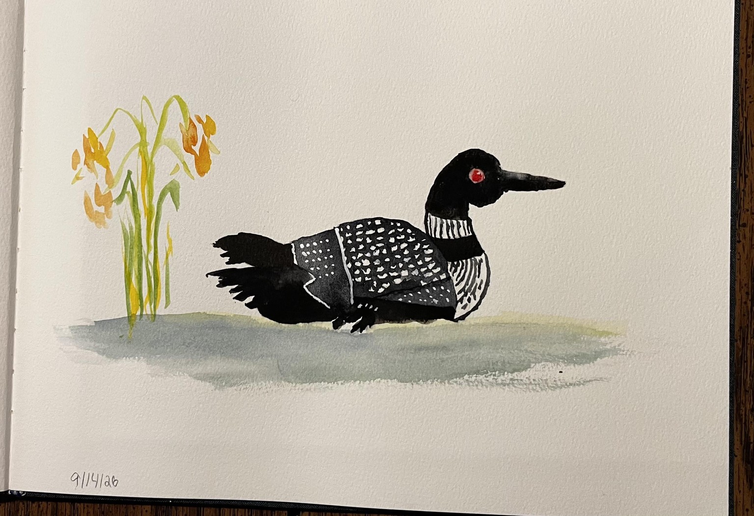 Birds - image 4 - student project