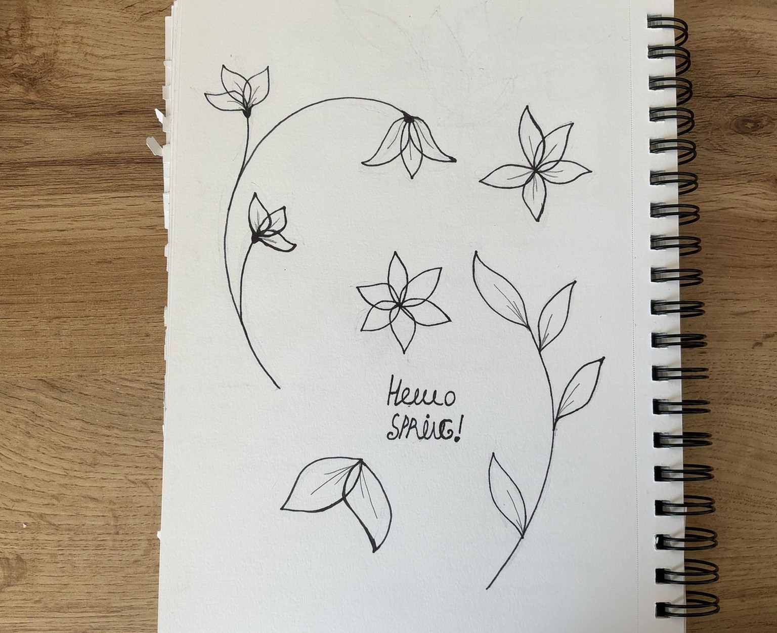 Vector Spring Flowers! - image 2 - student project
