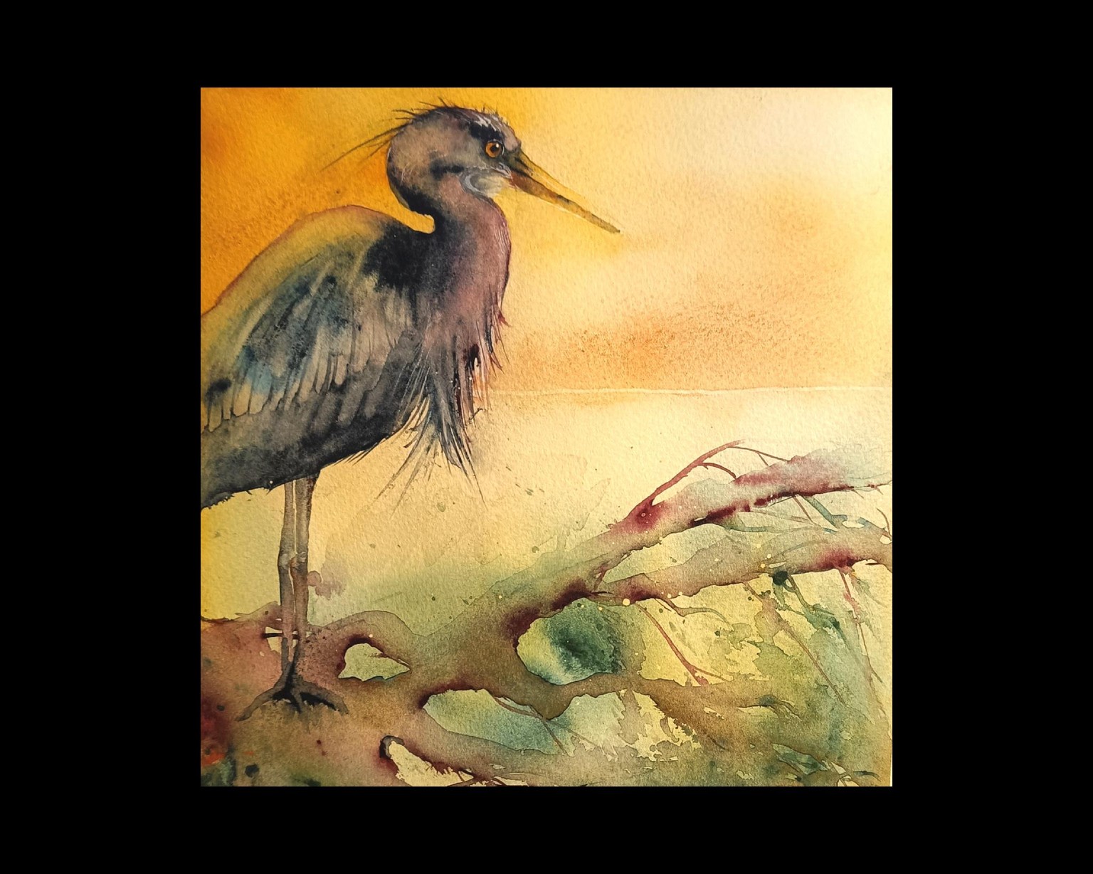Heron by the lake - image 1 - student project