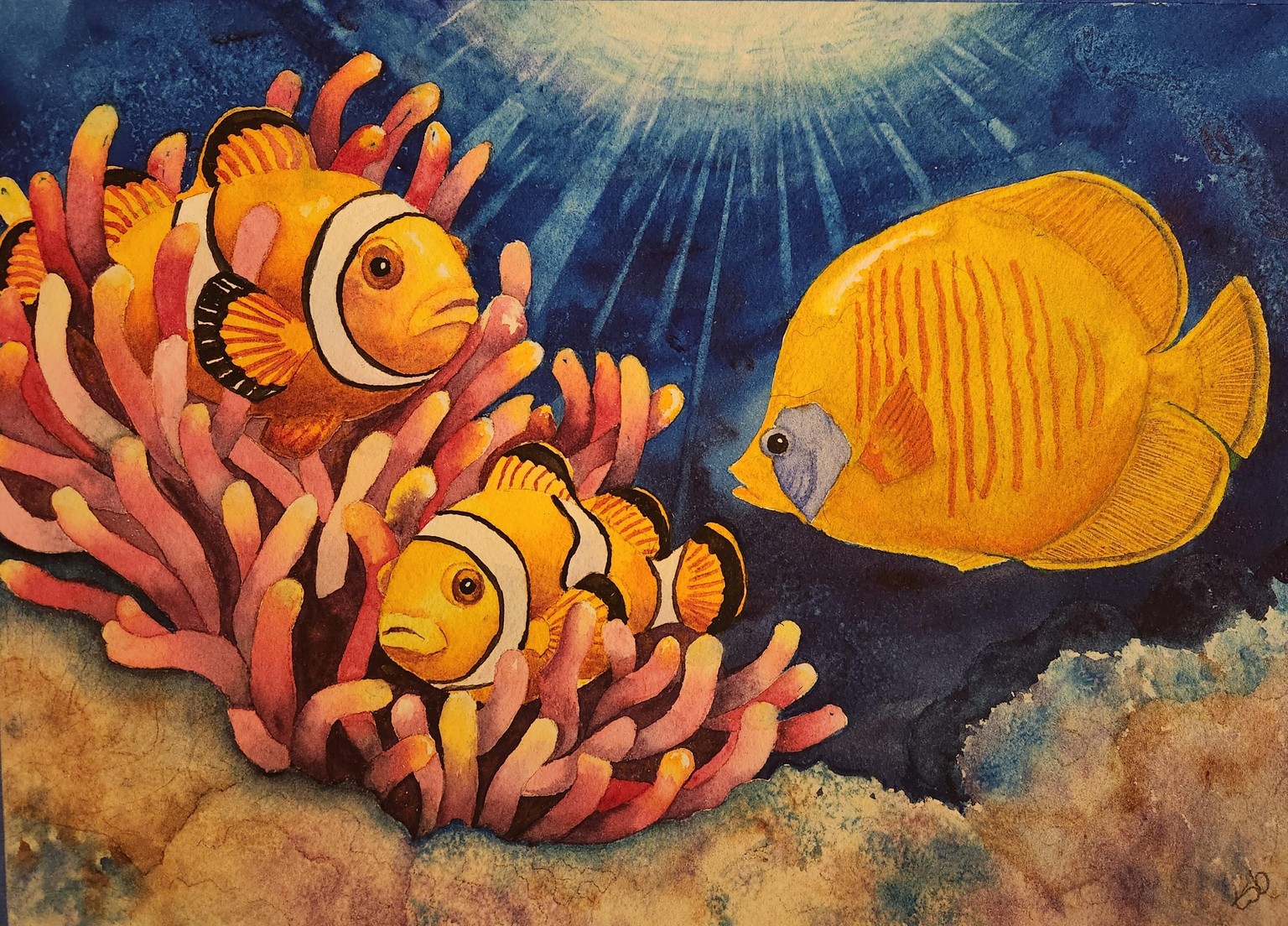 Coral Reef w Krzysztof - image 2 - student project