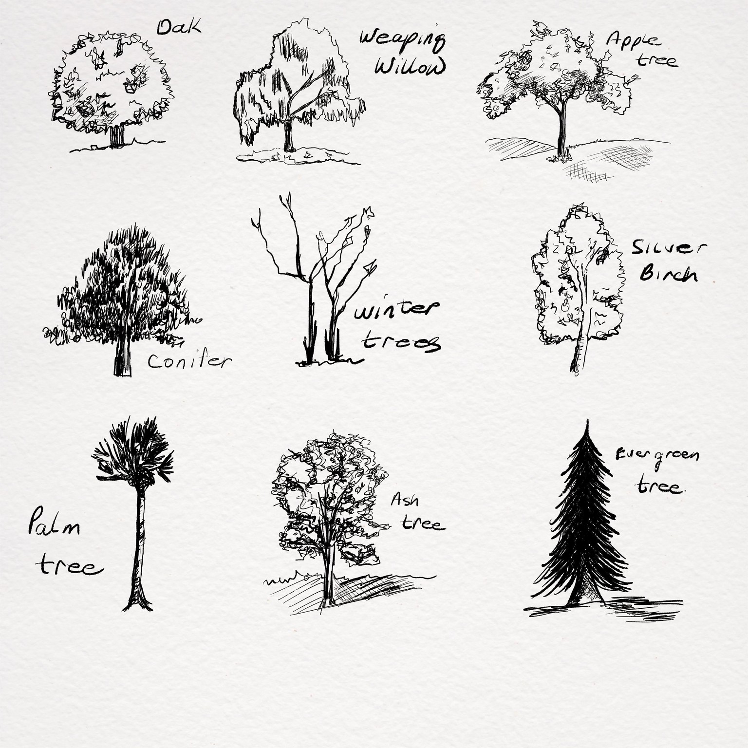 Drawing simplistic trees - image 1 - student project