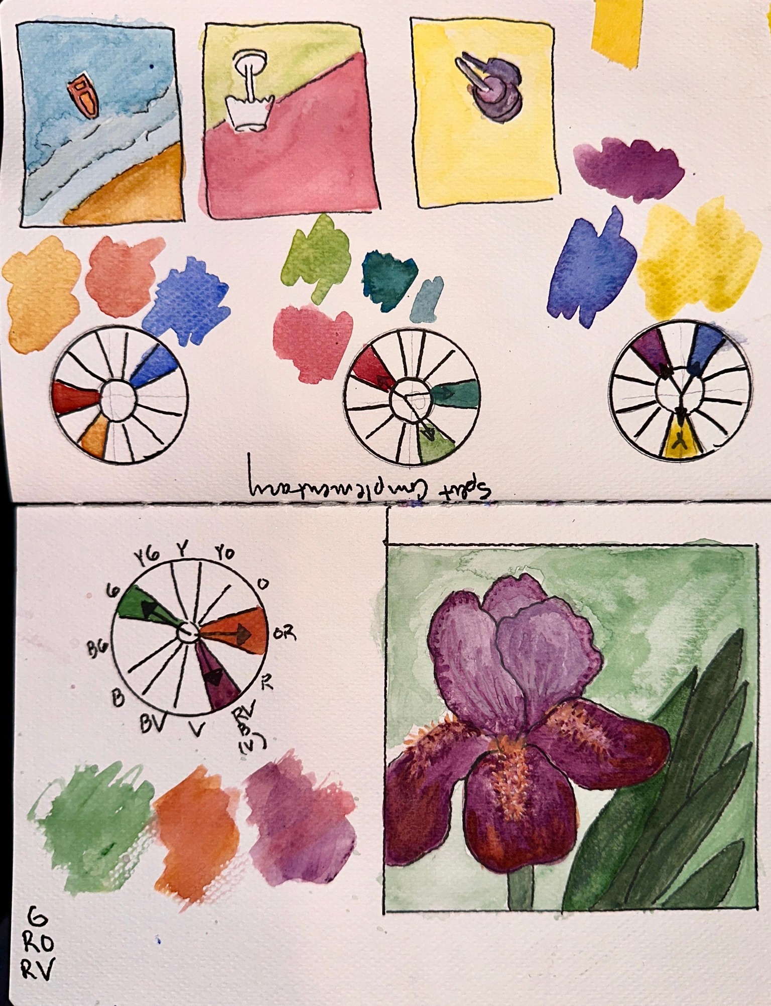 Iris Season - image 2 - student project