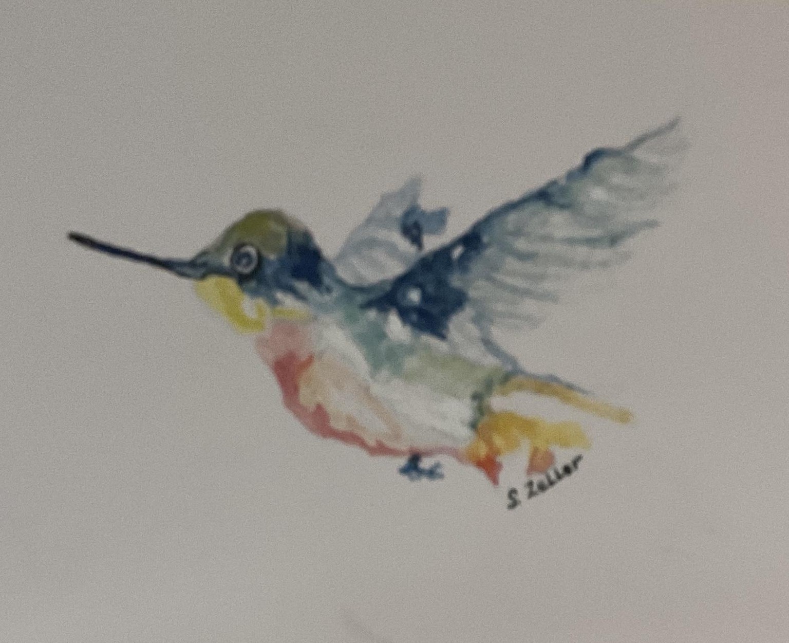 Master Loose Watercolor: Easy Wet-Into-Wet Humming Bird for All Levels - image 1 - student project