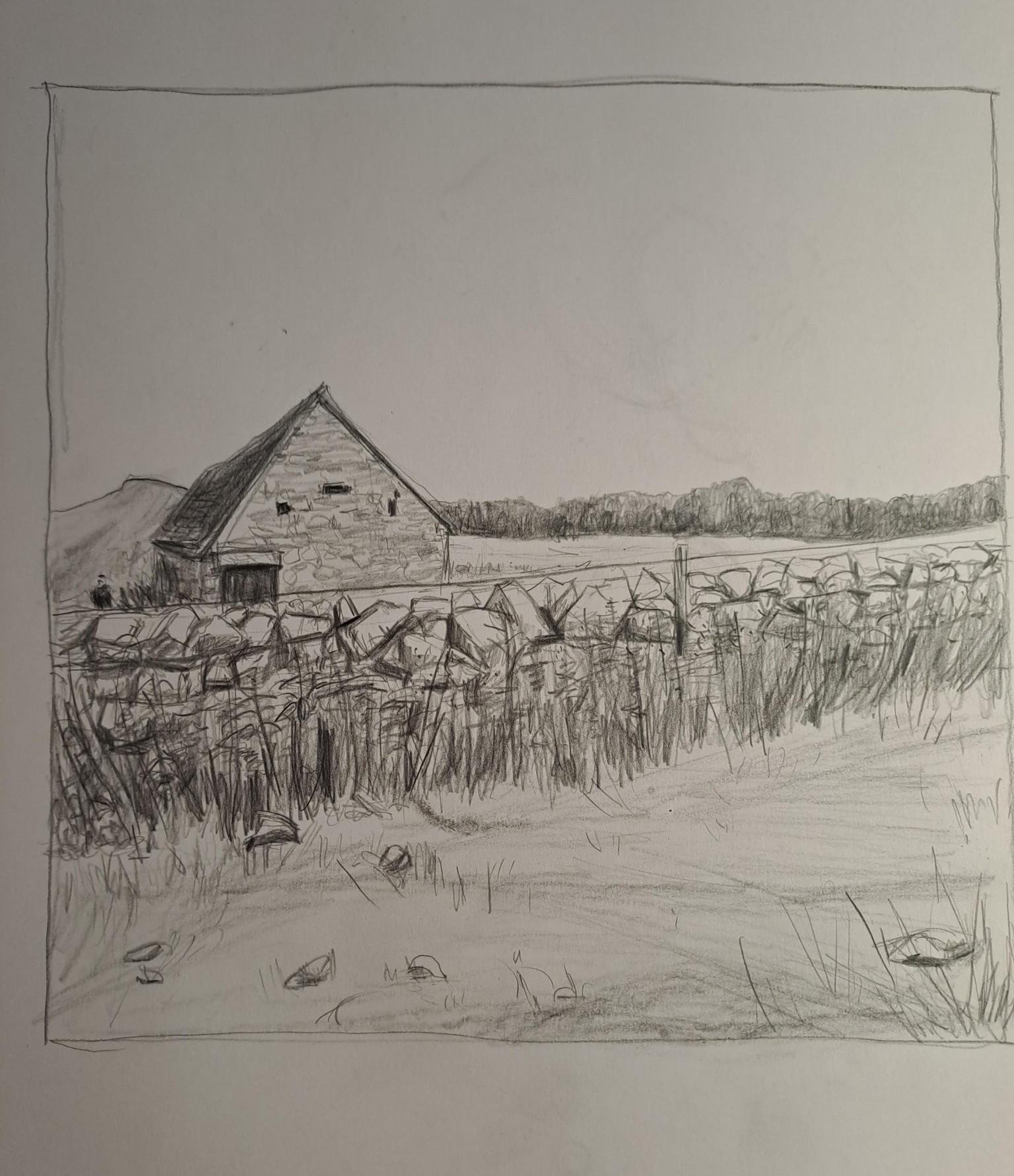 10 days of landscape sketching - image 6 - student project