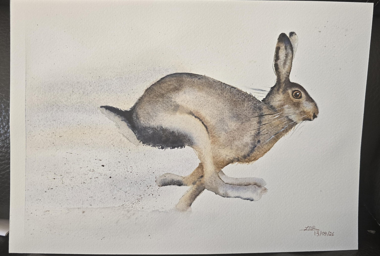 Little speedy butt! - image 1 - student project