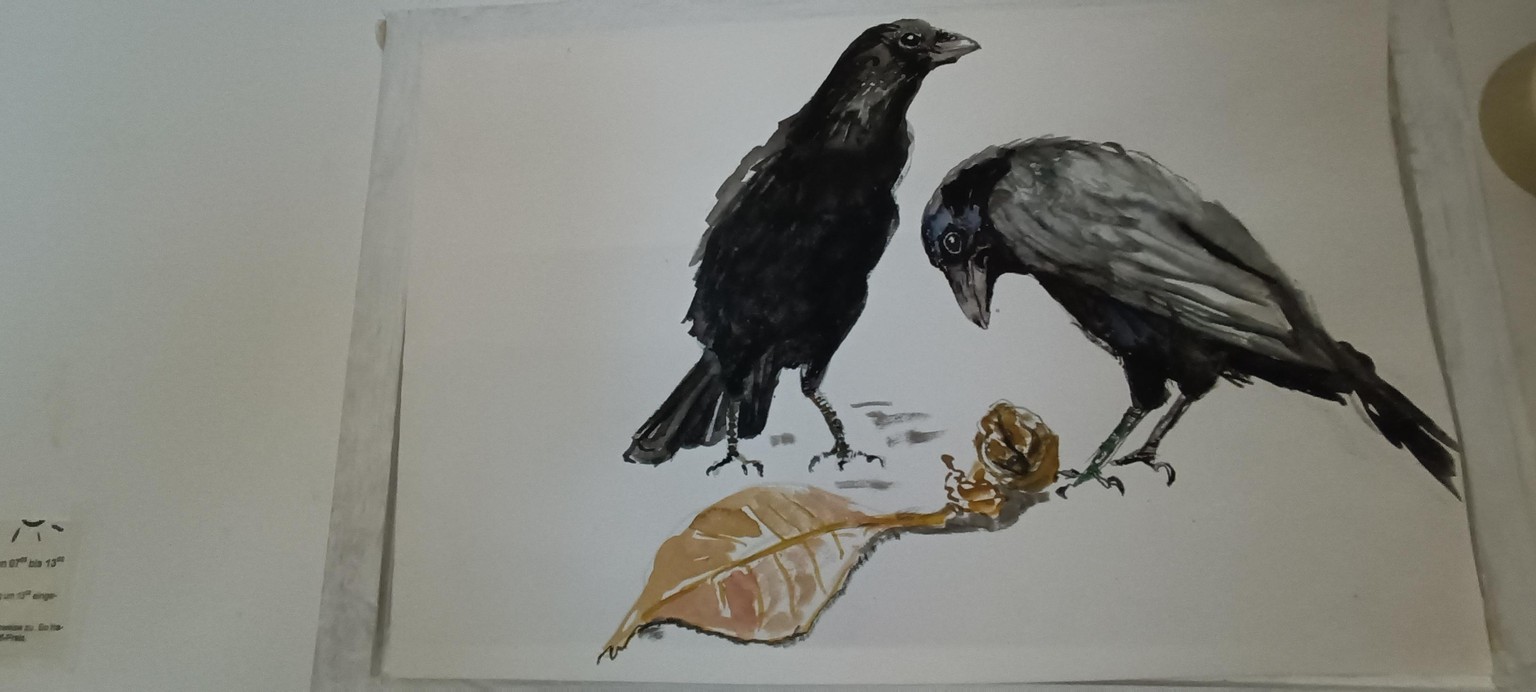 rabe - image 1 - student project