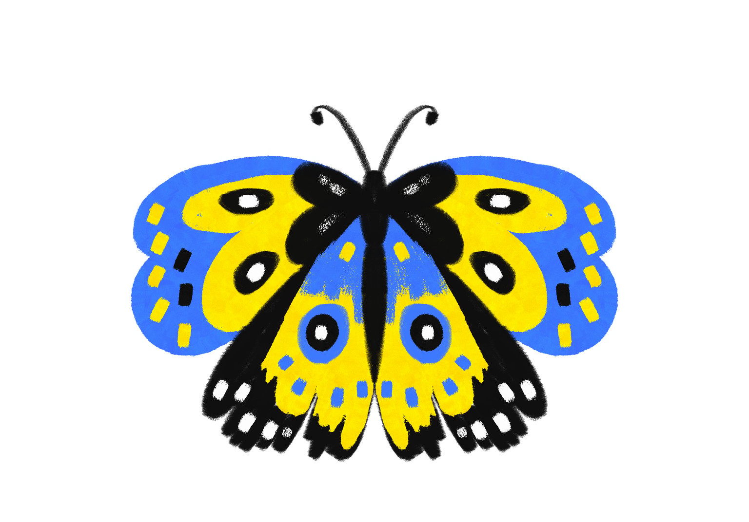 Butterflies from this class - image 1 - student project