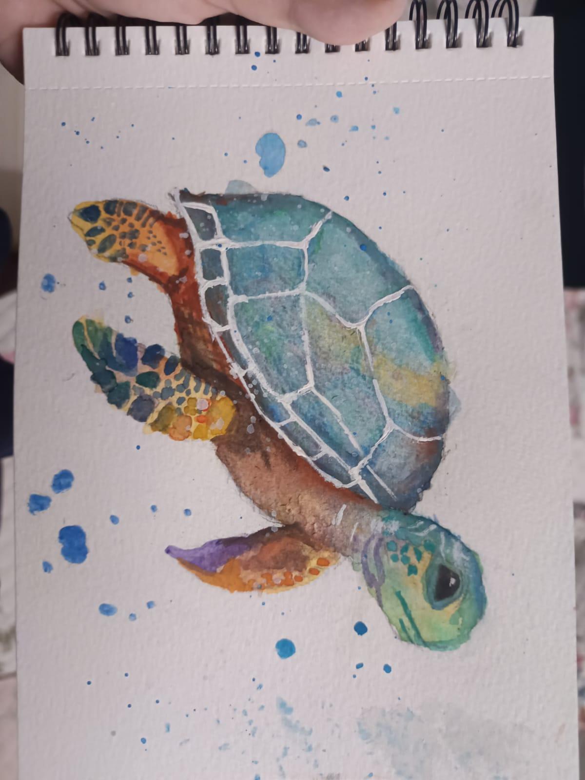 Sea Turtle - image 1 - student project