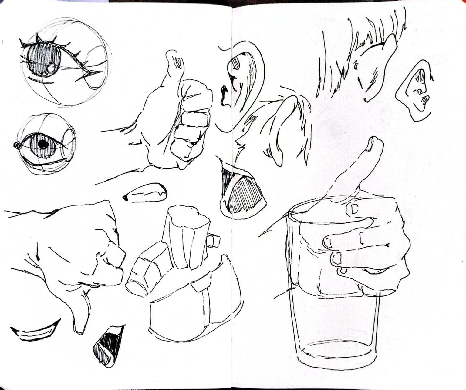 bocetajes - image 1 - student project
