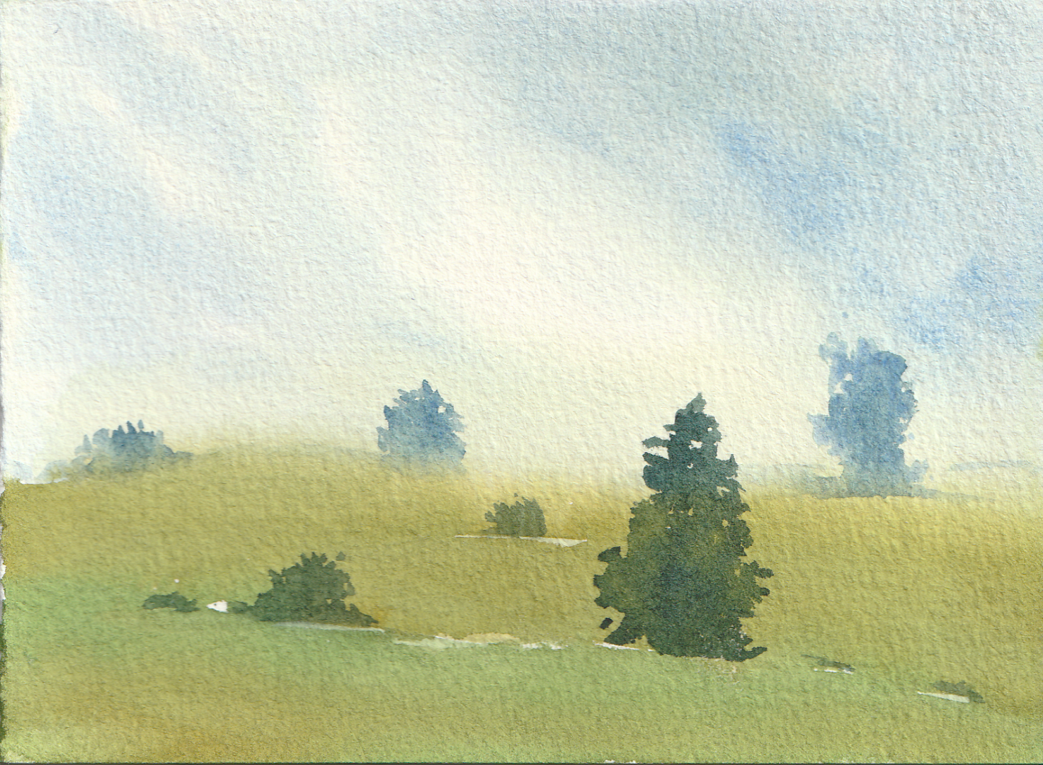 My journey learnig watercolor! - image 6 - student project