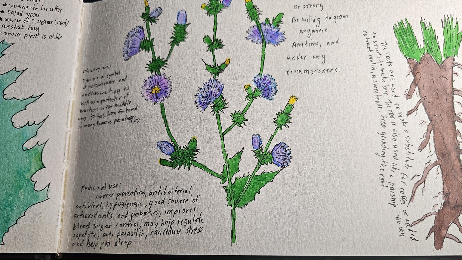 Nature journal page - image 2 - student project