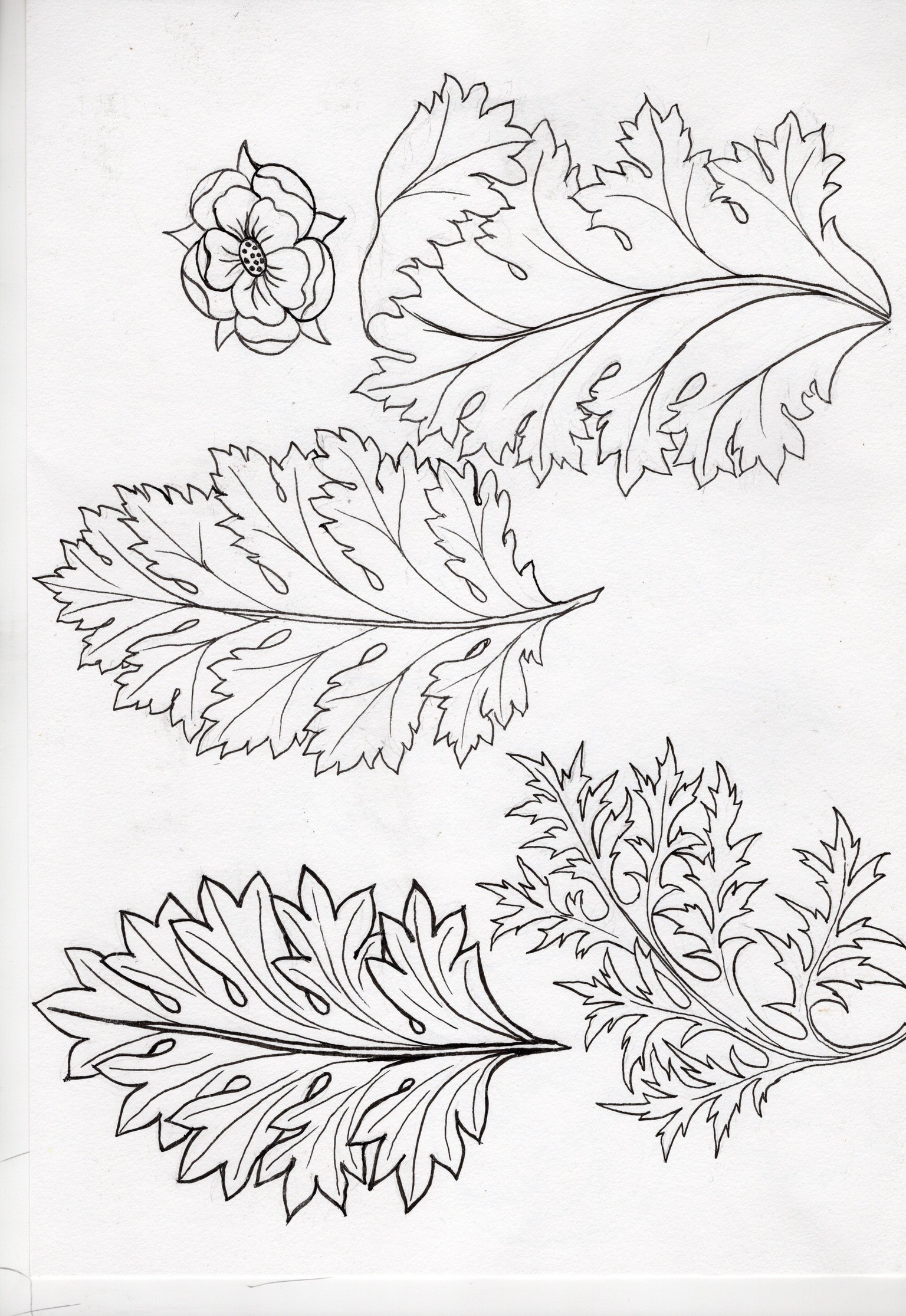 Acanthus leaves and moon gazing hares - image 3 - student project