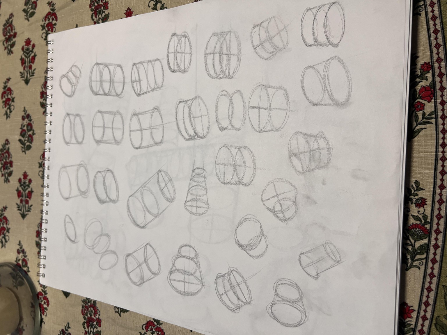 Line, Form, and Shading Practice - image 4 - student project