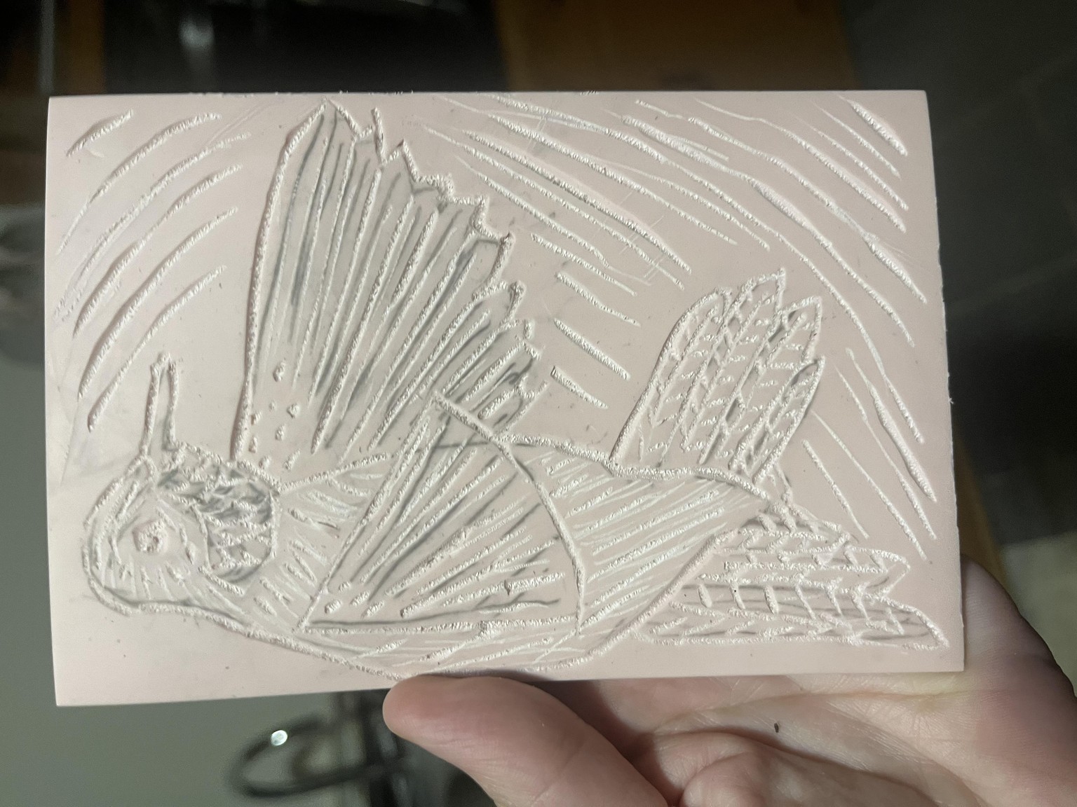 Hummingbird - image 2 - student project