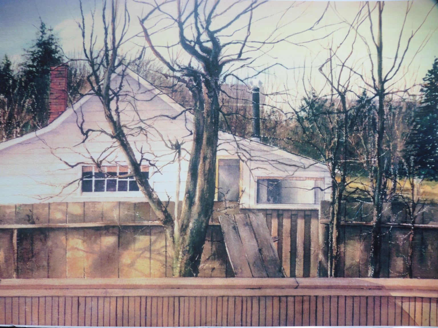 The Old Maple - image 2 - student project
