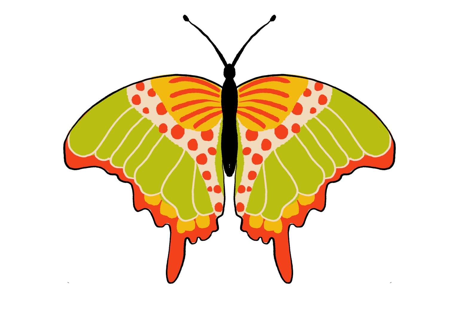Butterflies from this class - image 5 - student project