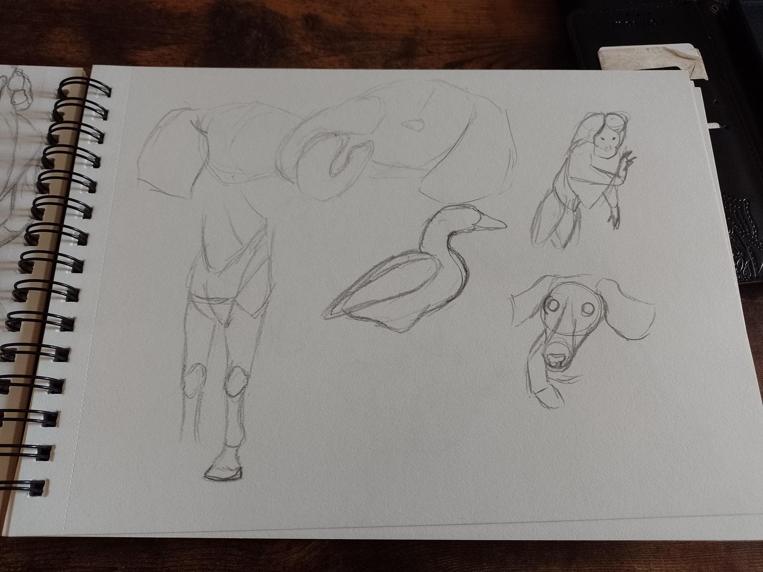 drawing exercices - image 5 - student project