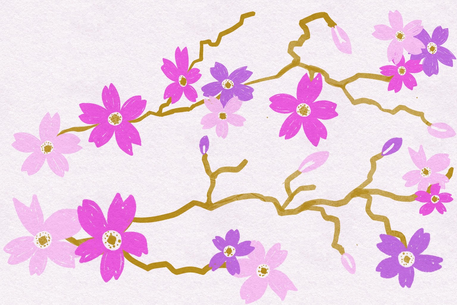 Cherry Blossom Delight #2 - image 2 - student project