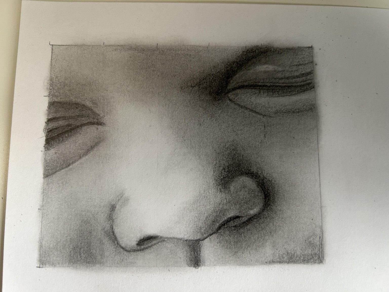 Drawing noses - image 2 - student project