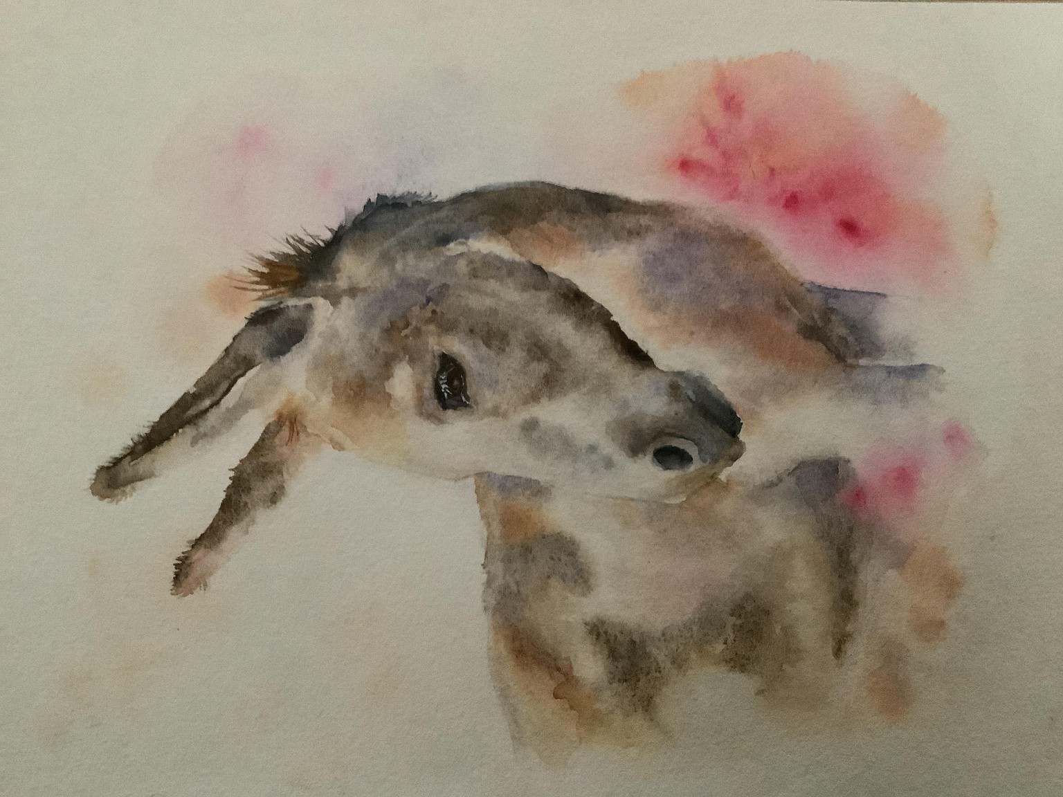 My beloved little donkey - image 1 - student project