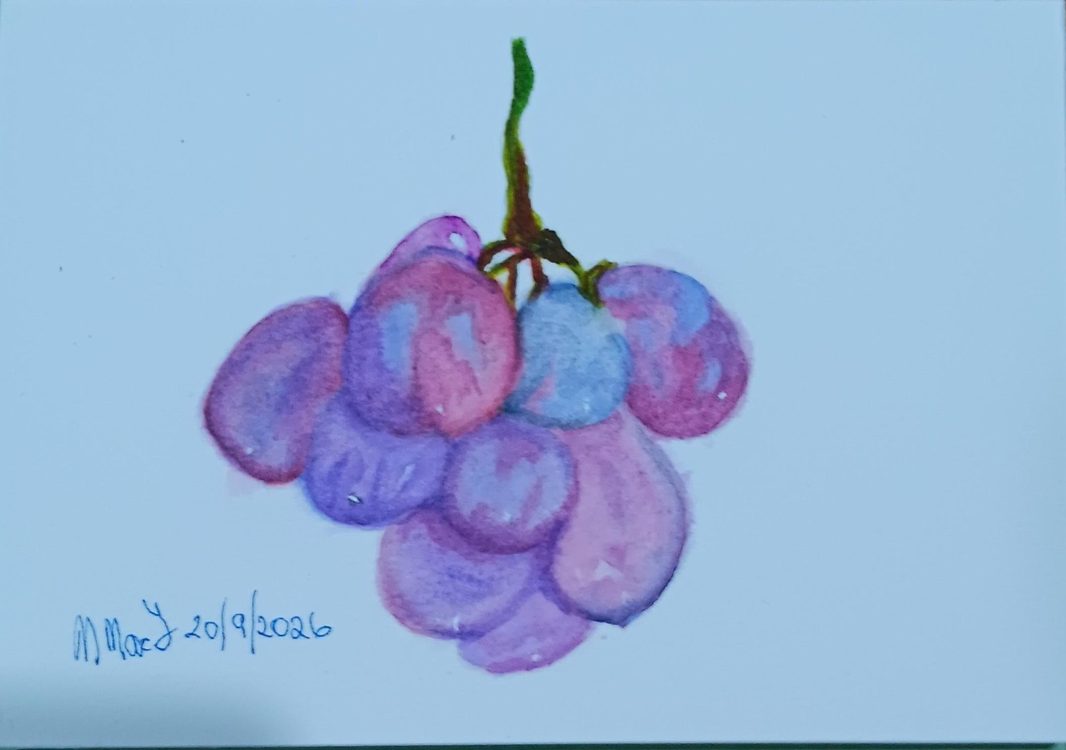 Bunch of Grapes. - image 1 - student project