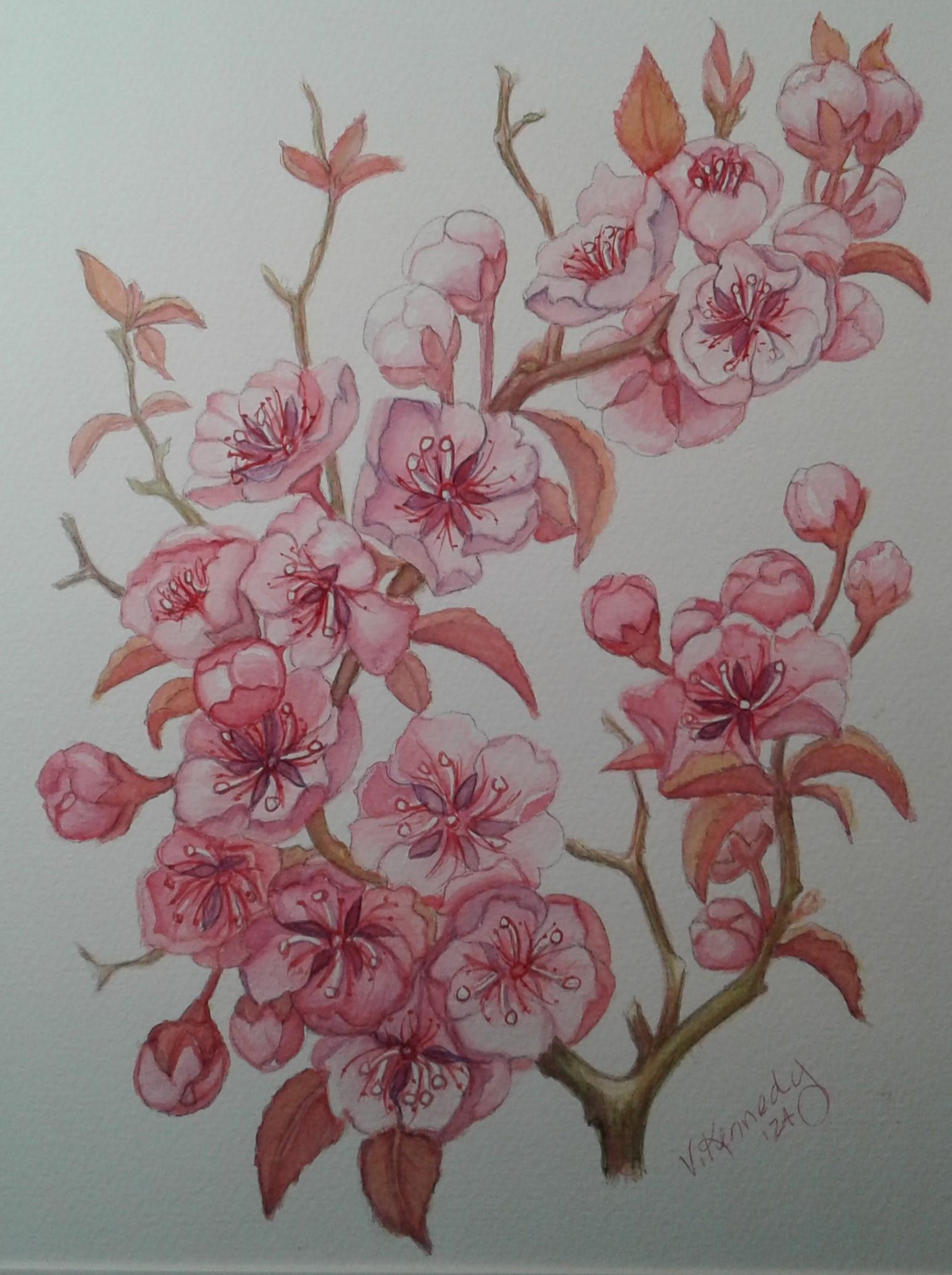 Watercolor Blossoms - image 1 - student project