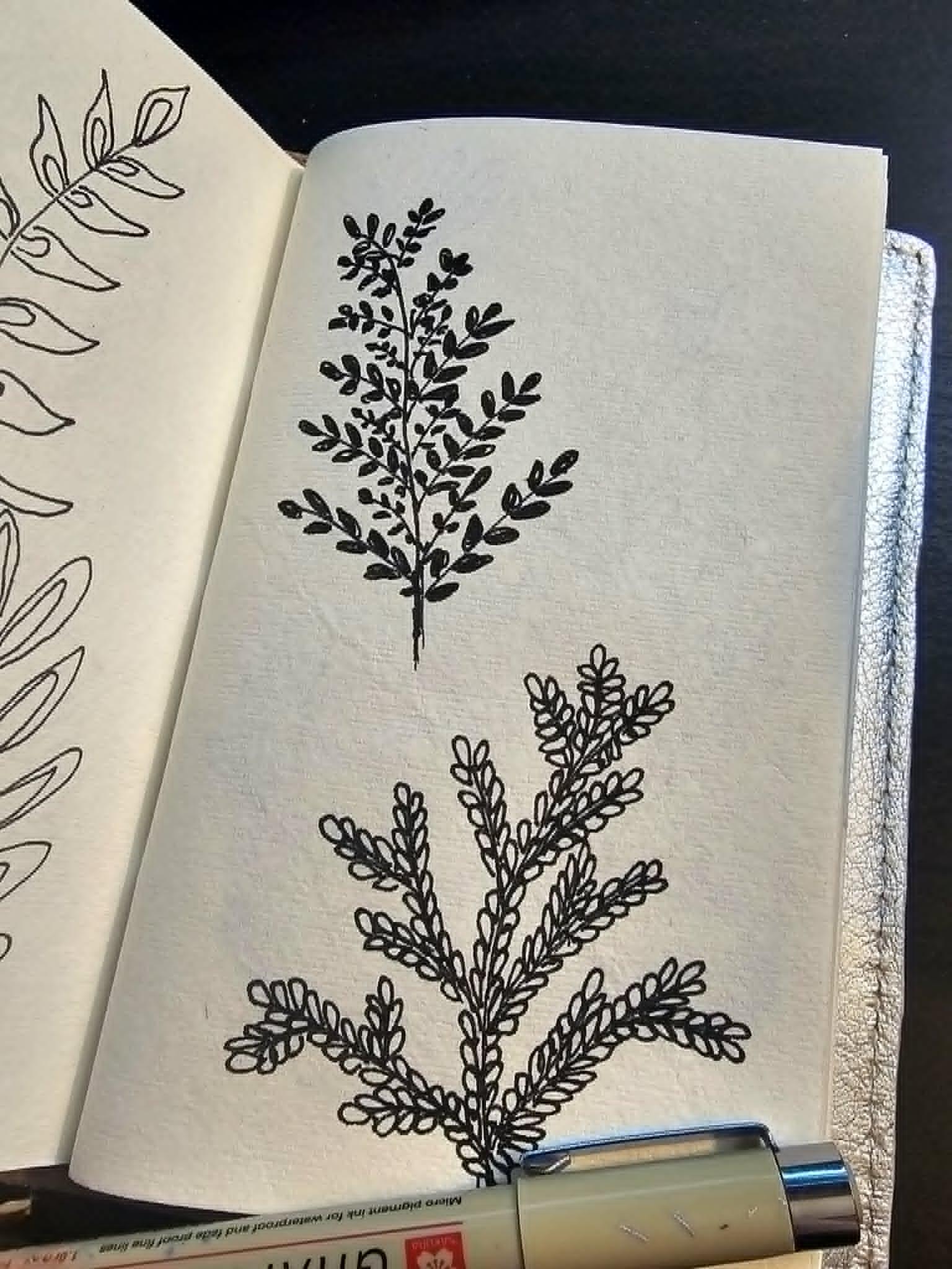 Quelques feuillages - image 5 - student project