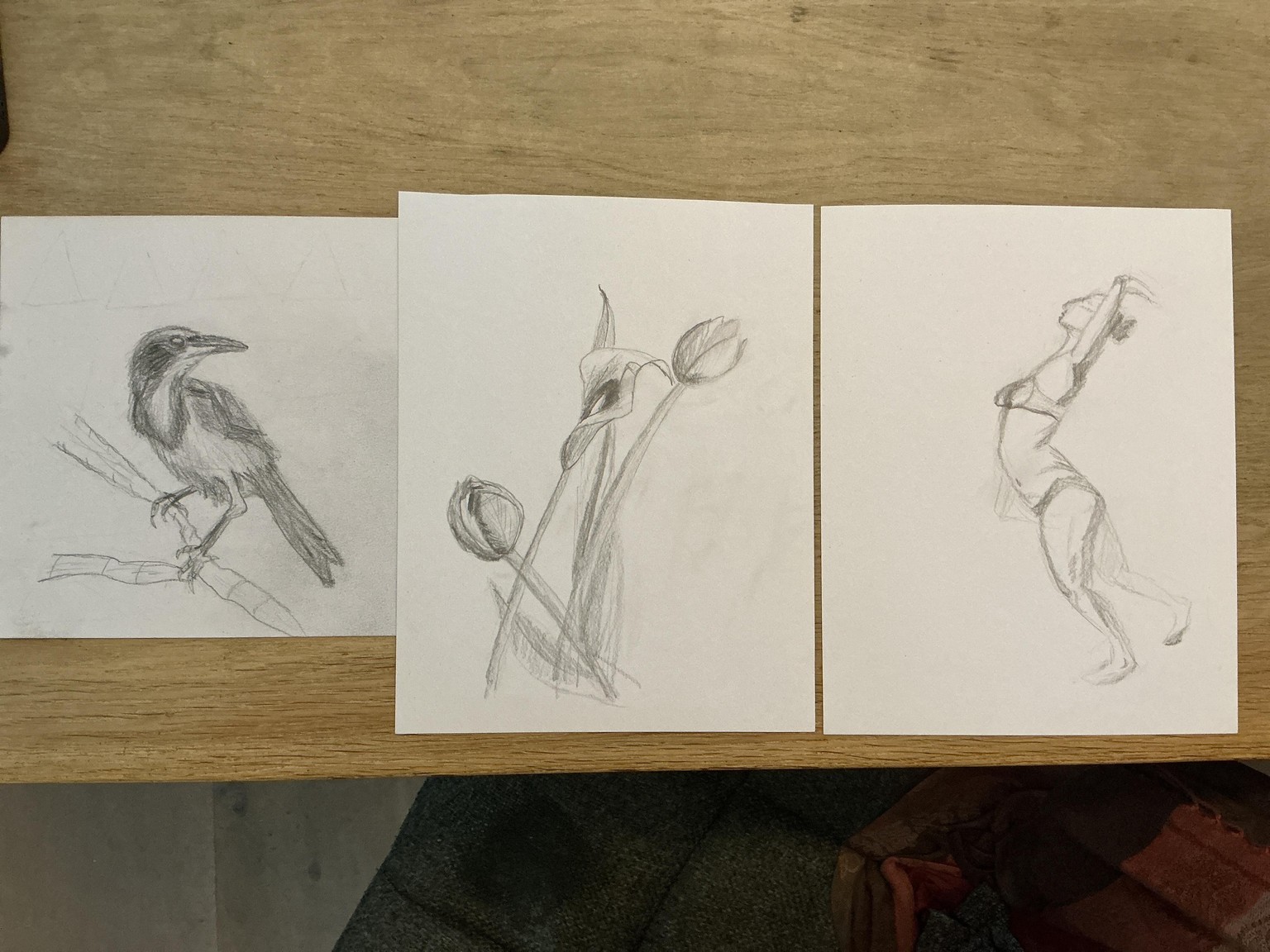 Basic Drawing Practice - image 1 - student project