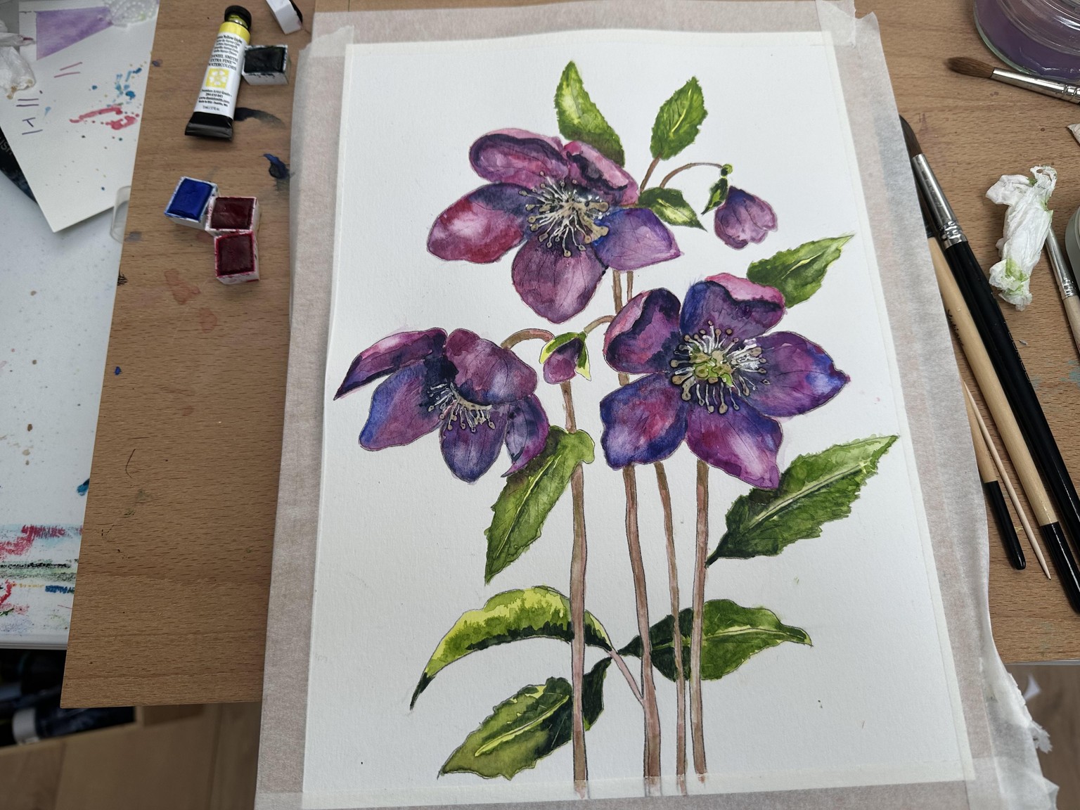 Hellebores - image 3 - student project