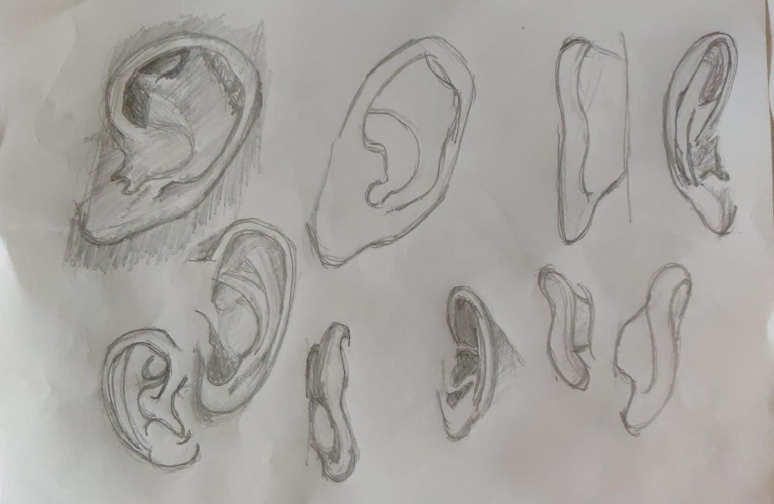 The Head Shape, Eye, Nose, Lips, Ears, Hair, Portraits. - image 1 - student project