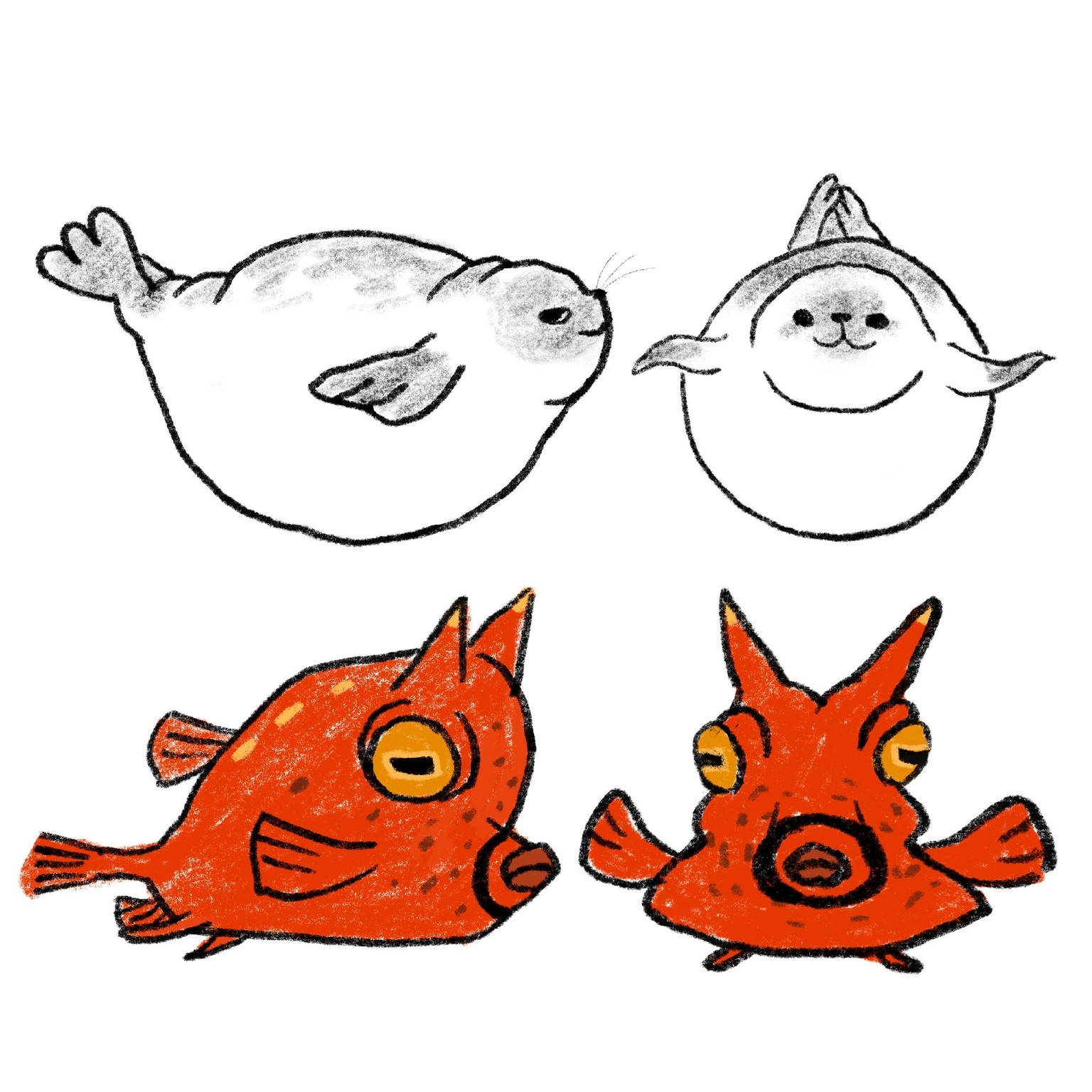 Cow Fish + Seal - image 1 - student project