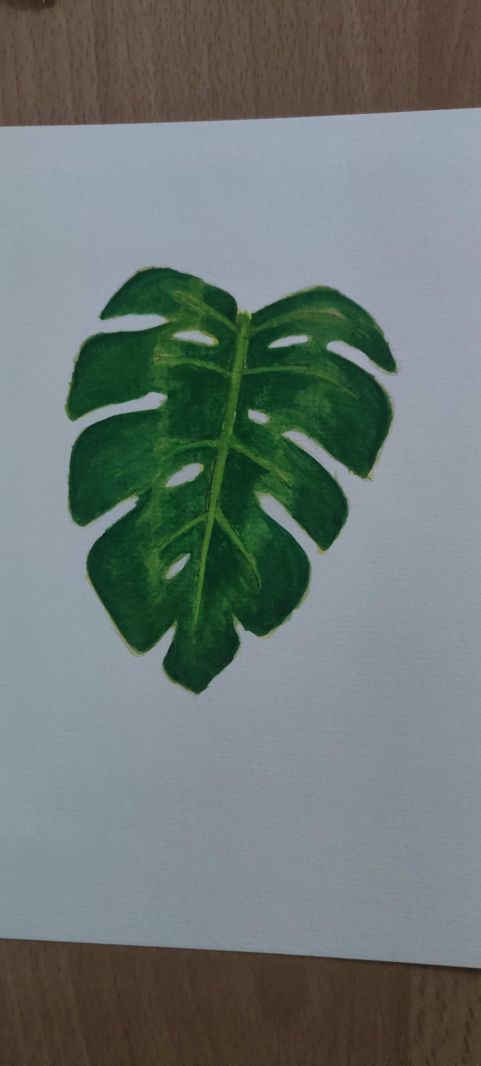 Monstera - image 2 - student project