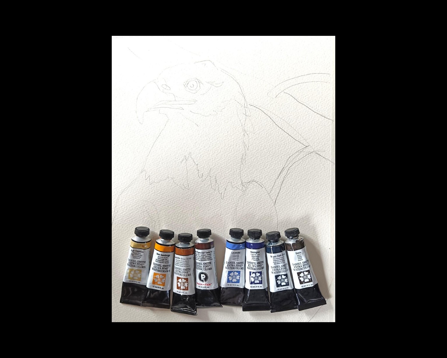 Aquarell - Eagle đŠ
- image 2 - student project